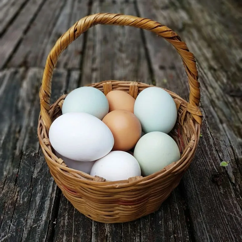 Brown, white and blue eggs in a wicker basket