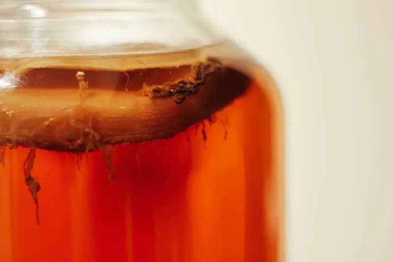 Kombucha brewing in a glass jar