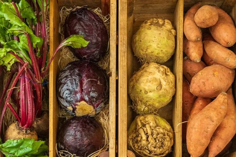 Beetroot, red cabbage, celeriac and sweet potatoes in wooden crates
