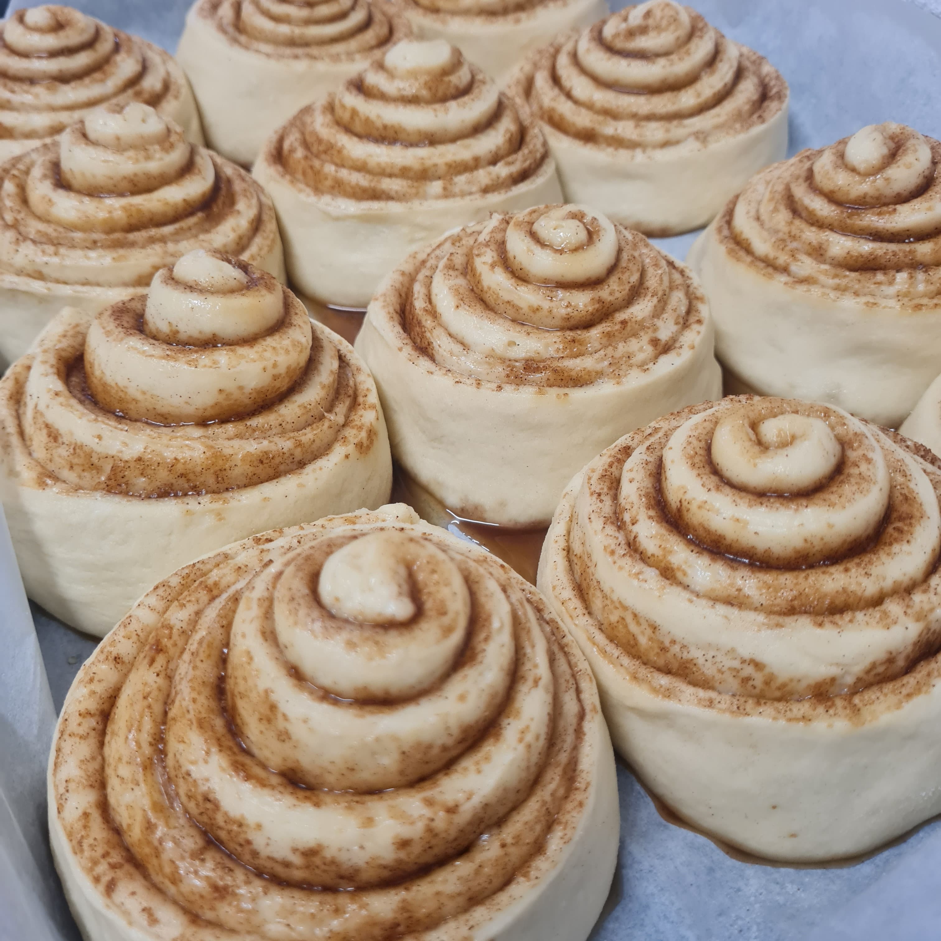 Sourdough Cinnamon Rolls
